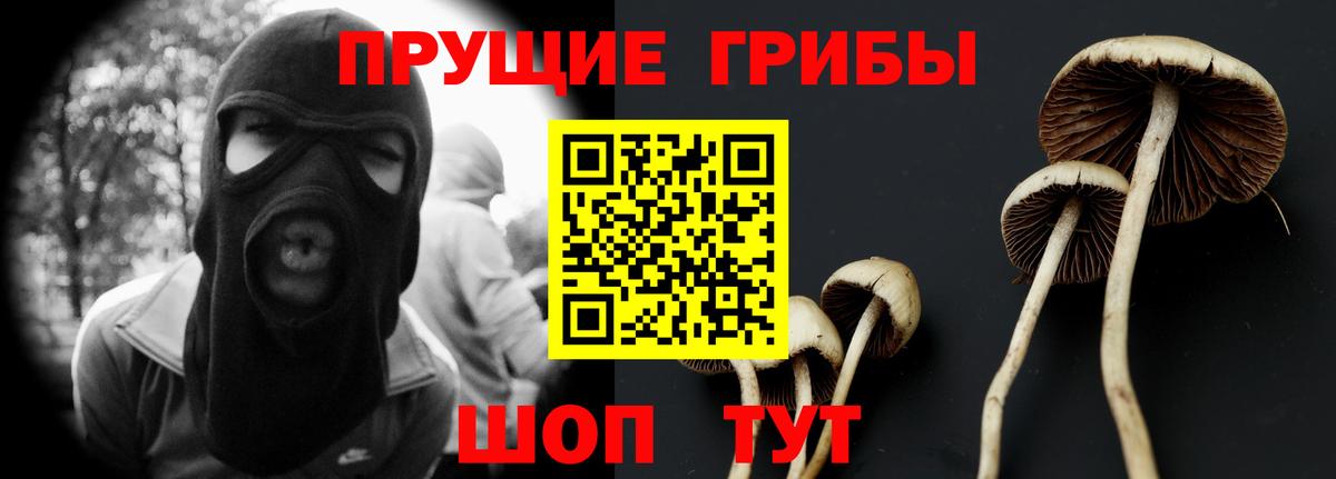 Псилоцибиновые грибы мицелий Богородицк